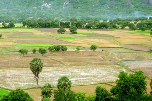 Ruộng bậc thang Tà Pạ An Giang