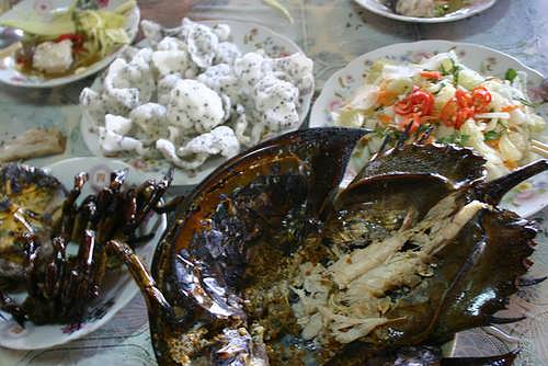 Sam Quảng Yên