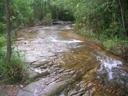 Suối Trúc Bình Dương
