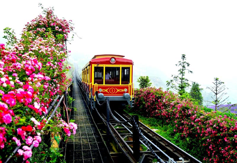Tàu hỏa leo núi Mường Hoa