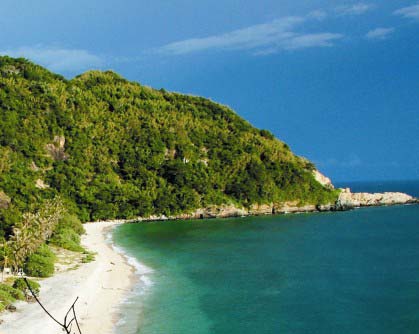 Thắng Cảnh Hòn Cau Vũng Tàu