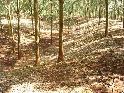 Thành đất cổ hình tròn Lộc Ninh Bình Phước