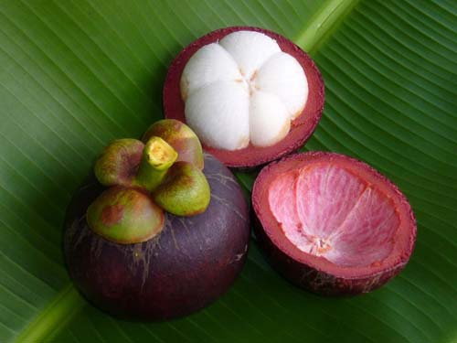 Vườn cây Lái Thiêu Bình Dương