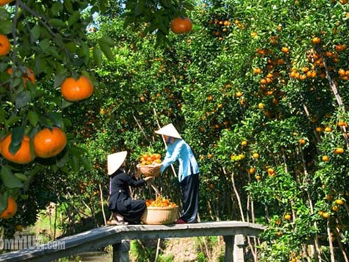 Vườn du lịch sinh thái Giáo Dương Cần Thơ
