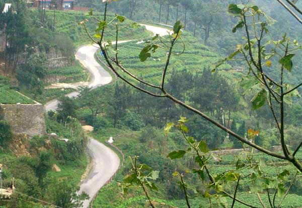 Đường lên Tam Đảo