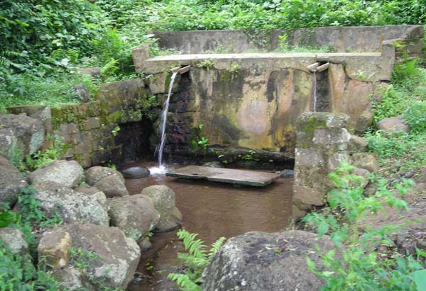 Giếng nam (dùng cho nam giới) thuộc hệ thống giếng Trạng, An Nha