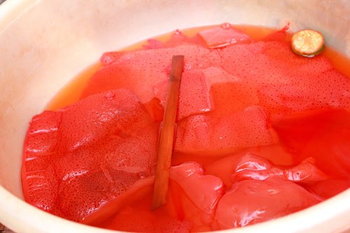 Dụng cụ cắt sứa là thanh cật tre vót mỏng.